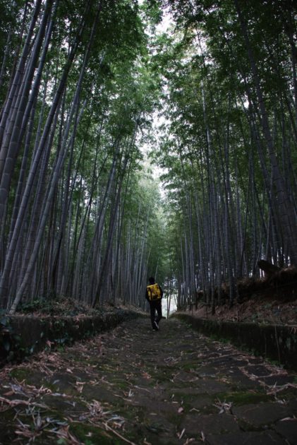 京都ではない