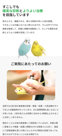 モバイル表示のサムネイル画像