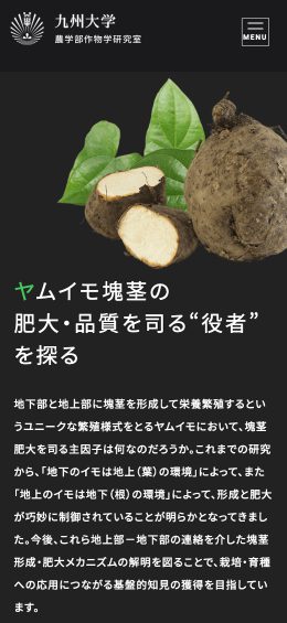 モバイル表示のサムネイル画像